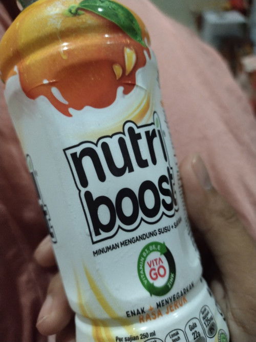 Minum nutriboost saat hamil