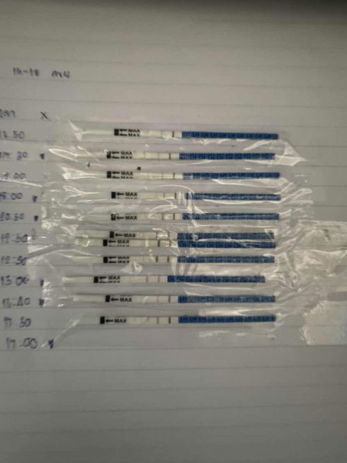 ความหวังอยากมีลูก