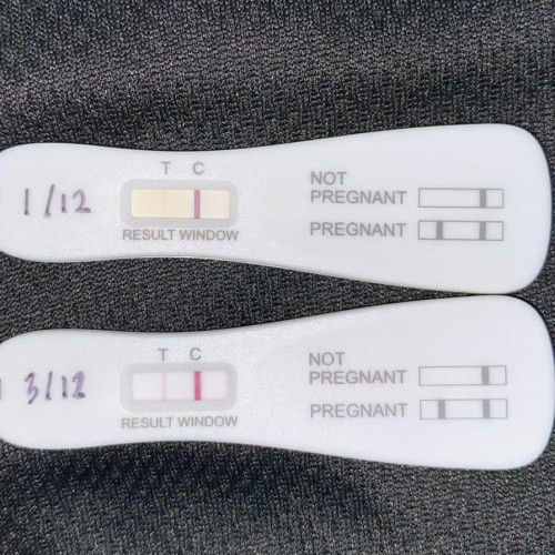 Stop cucuk perancang bulan 7. Bulan 7-10 period tak okay, period lebih 15 hari. Bulan 11 baru okay
