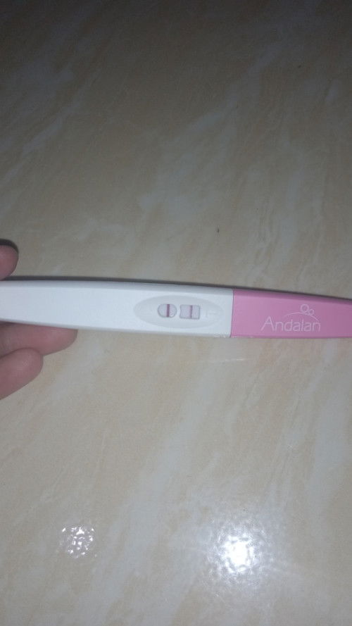 Awal kehamilan pertama