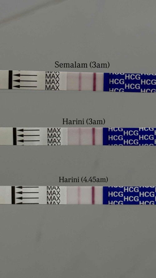 UPT makin pudar berbanding semalam, kandungan baru 4 weeks. Possible kandungan tak menjadi ke?😢
