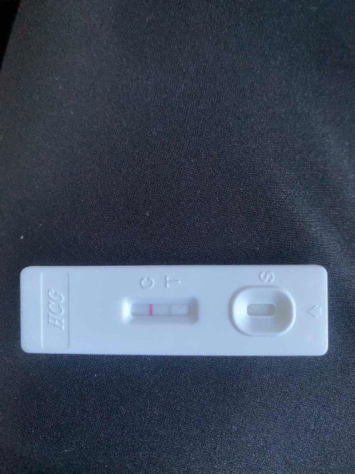 tanya pasal pregnant