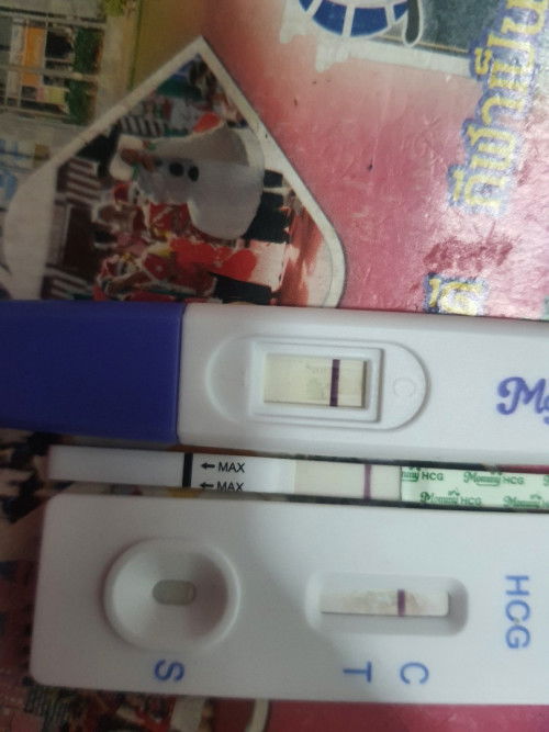 สองขีดจางๆ