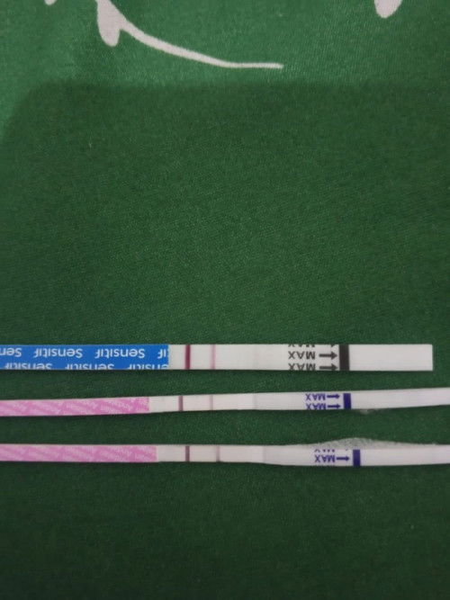 Izin Bertanya Mohon Dibantu