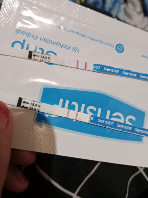 Bun hpht tanggal 29-november 2025 perkiraan udah berapa bulan aku mengandung?