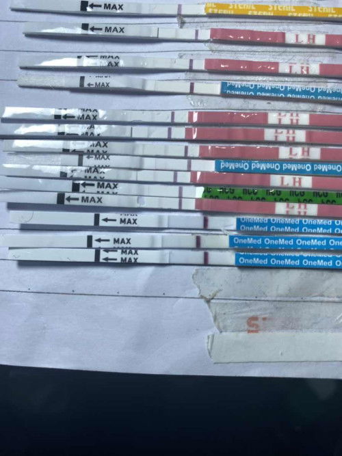 Bun ini mksdnya gmna ya baru telat 2 hari tapi masih samar bgt apa bisa kemungkinan hamil?