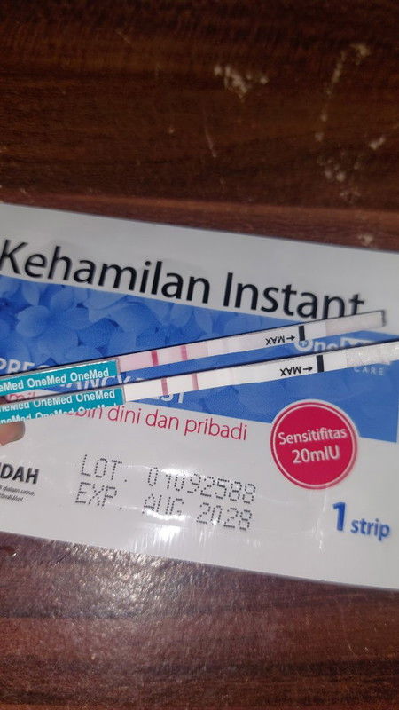 Testpack positif, kapan usg?