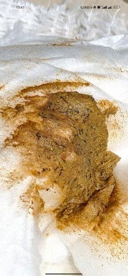 Maaf sebelumnya jika jorok fotonya