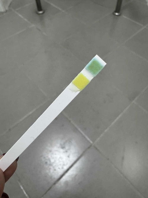 ฉี่ขึ้นแถบนี้อันตรายไหมคะ