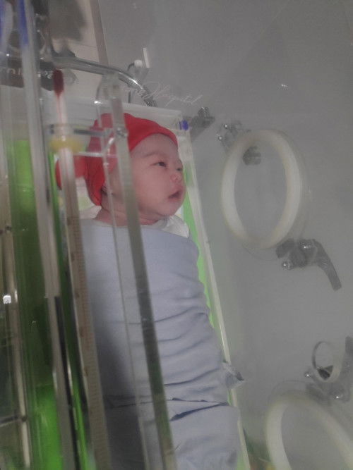 HPL 18 des3mber usia 39 week 2 hari