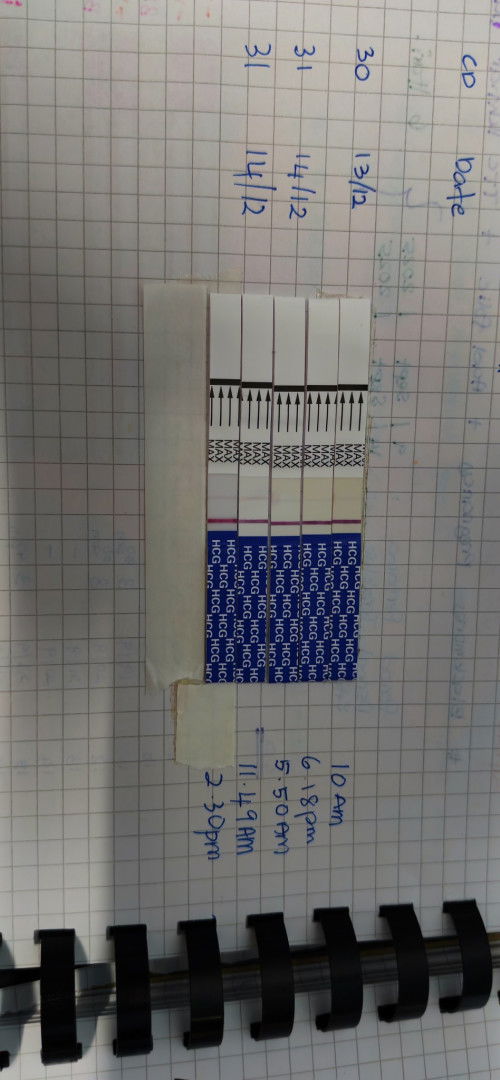 Adakah sy ade peluang atau tggu lgi