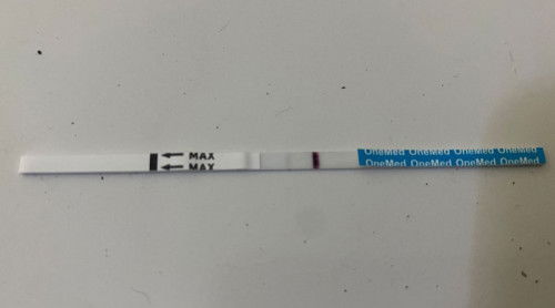 Kira kira sudah positif belum