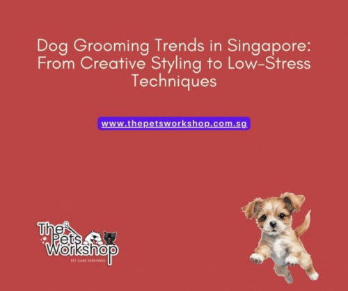 Dog Grooming Trends in Singapore: From Creative Styling to Low-Stress Techniques- The Pets Workshop