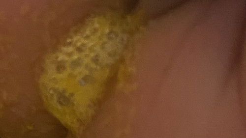 Pup Bayi Newborn 1 Bln Berbusa