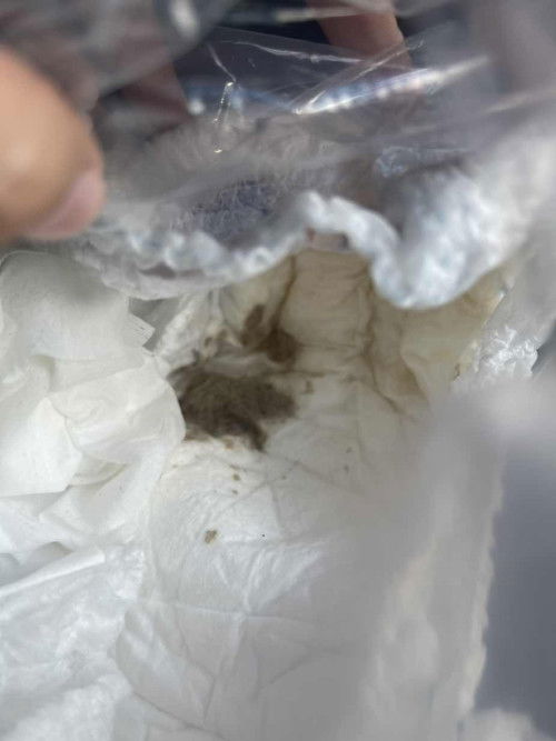 poop abu abu bagaimana