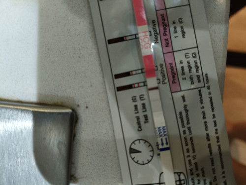 การตั้งครรภ์