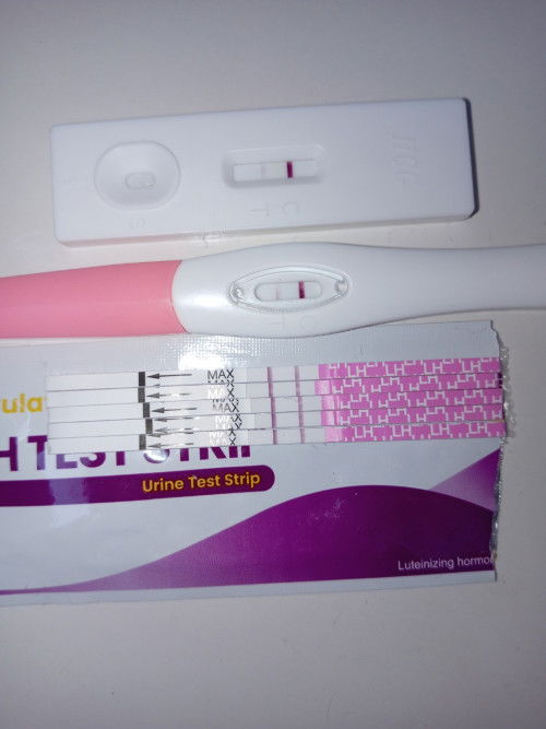 salam ibu2 mumy2 mksudnya pregnant ke. upt samarr tpi opk line terang sngt2 ..hrpni doa yg sy tnggu