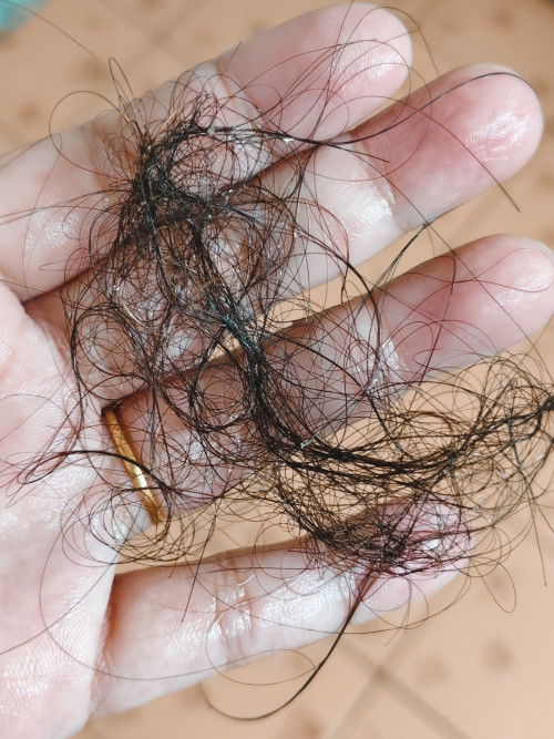 ผลร่วงเยอะมาก