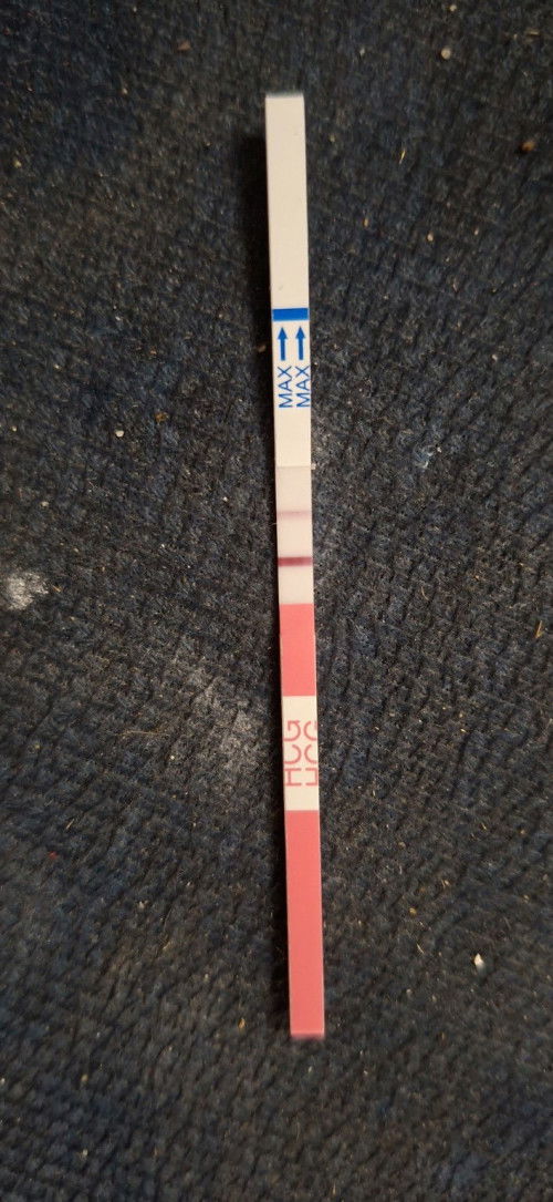 ขึ้นแบบนี้ท้องชัวใช่มั้ยคะ