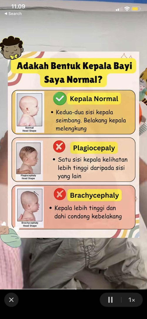 Rekomendasi bantal peyang dong bun