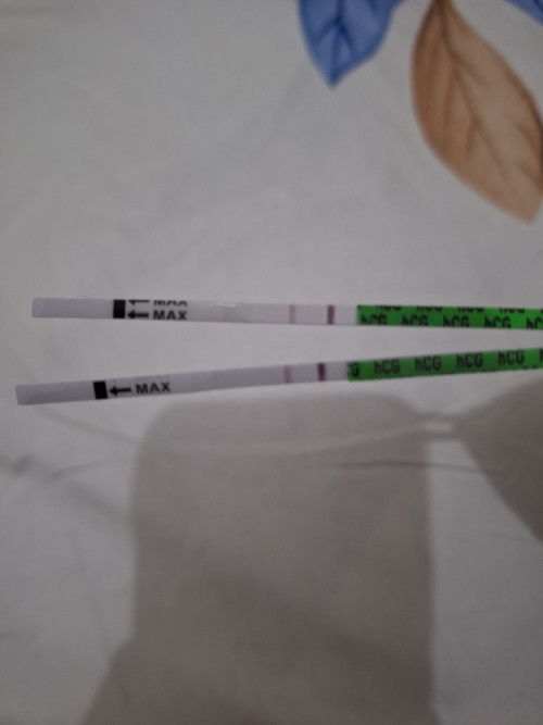 Hpht 26 nov masih samar, positif tidak ya?