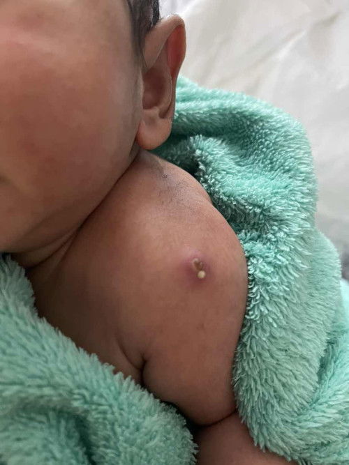 น้องหนึ่งเดือนเจ็ดวัน