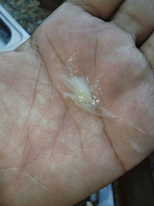 ใกล้รึยังคะแม่🥺