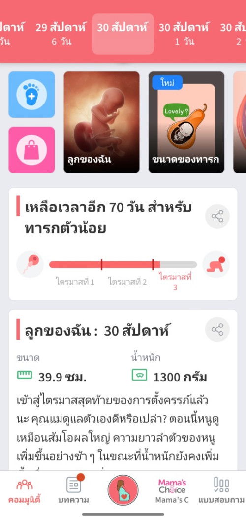 รีวิทำหมัน