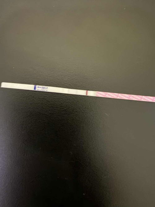 Hasil testpack hamil / tidak?