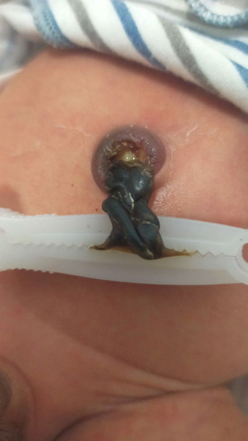 Hpl januari, ada yang yang dah launching?