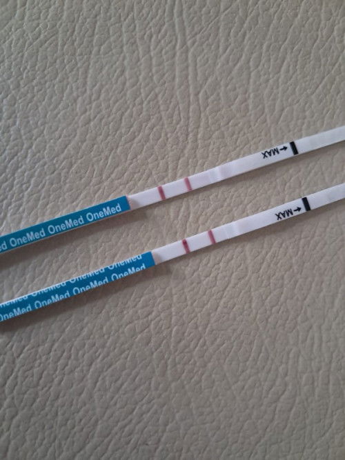 Belum telat haid sudah garis 2