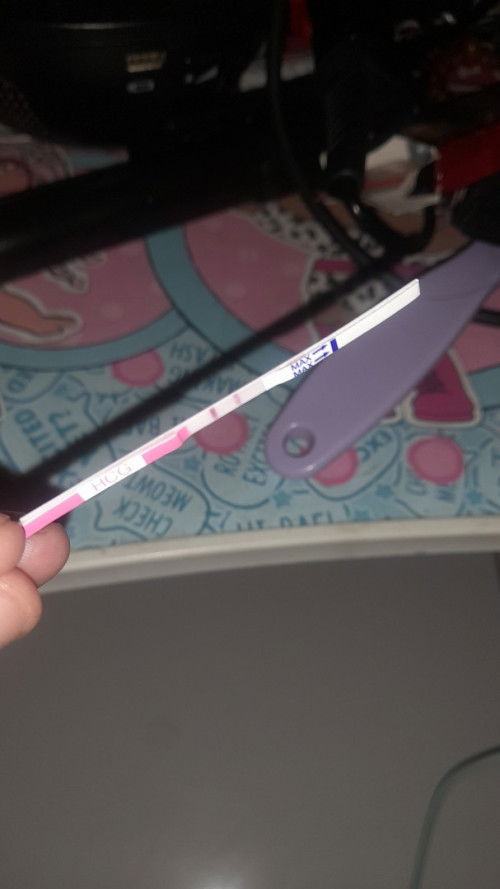 Sudah hamil atau blom ya hasil testpack saya