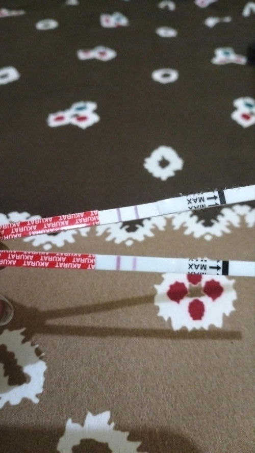 Tespek awal sangat jelas garis 2, trus sekarang memudar dikit