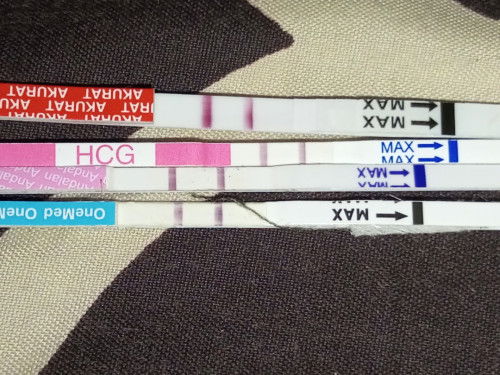 Izin nanya seputar kehamilan