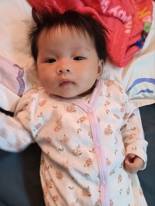 ทีมพฤศจิกายน68