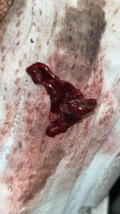 คืออะไรค่ะตกใจมากๆเลยค่ะ