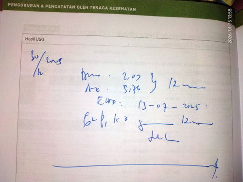 USG di 13minggu ada yang tau ini artinya apa?