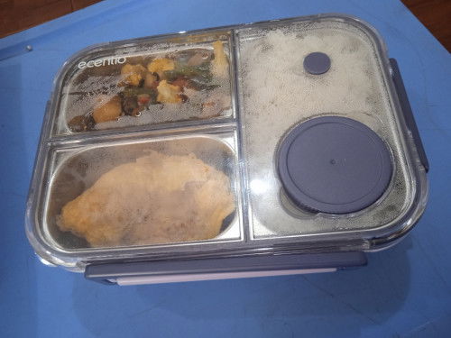 Kotak Bekal Ecentio