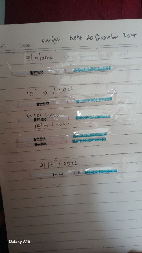 Hpht 20 Desember 2025