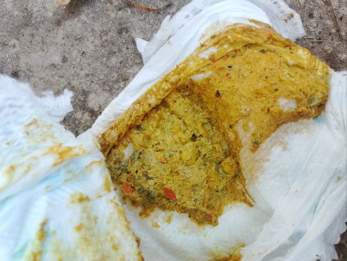 สีอึปกติแต่มีกลิ่นเปรี้ยว