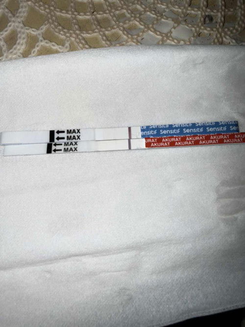 Hpht 11 desember 2025