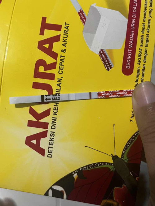 hpht 10 desember 2025