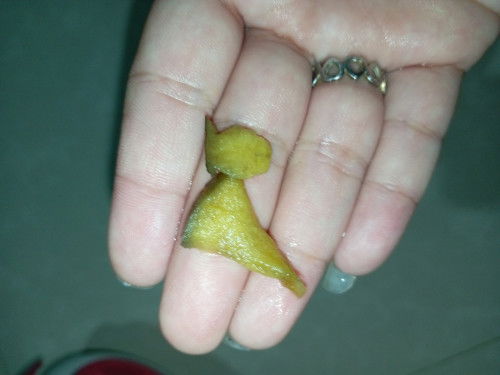 Okay lang po ba kumain ng ganito kalaking boiled apple ang 8 months old? Napoop na po niya yan.