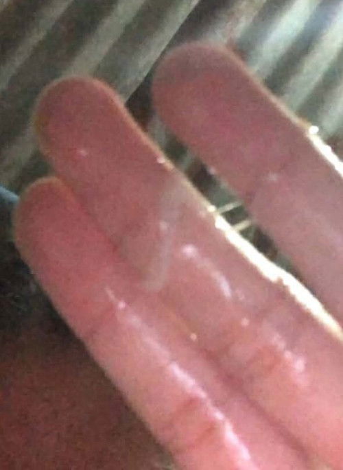 ขออนุญาตถามค้า