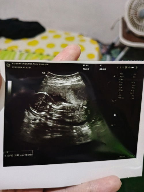 HPL juli musim jk apa,"17-18W"