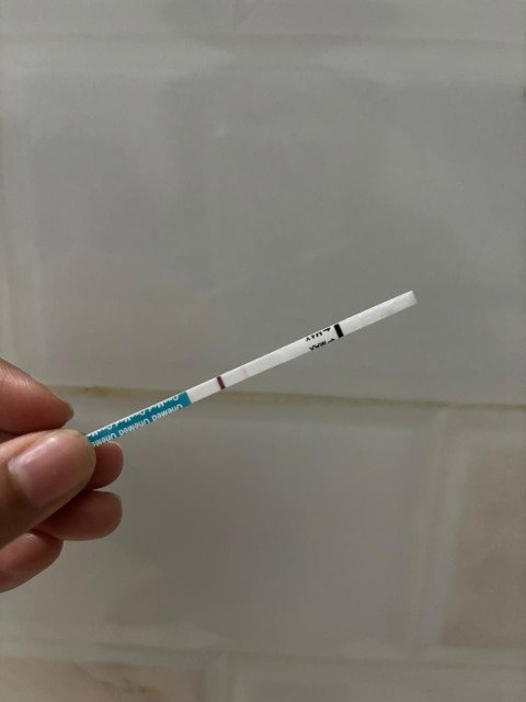 HPHT 26 Dec, sudah tes 2 hari lalu ada garis 2 samar. Tetapi hari ini tes lagi masih samar juga.