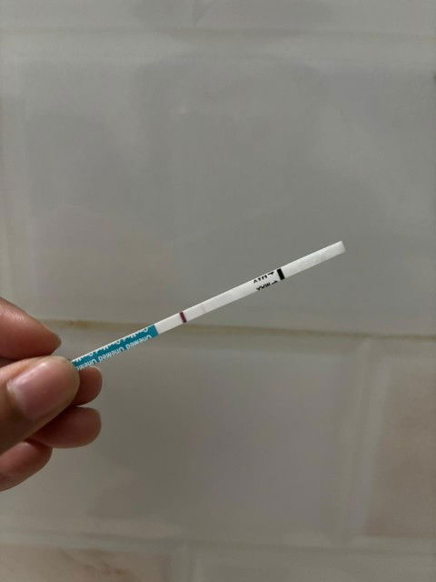 HPHT 26 Dec, sudah tes tgl 27 garis 2 samar, tadi pagi tetap samar. Apakah ini hamil ya?