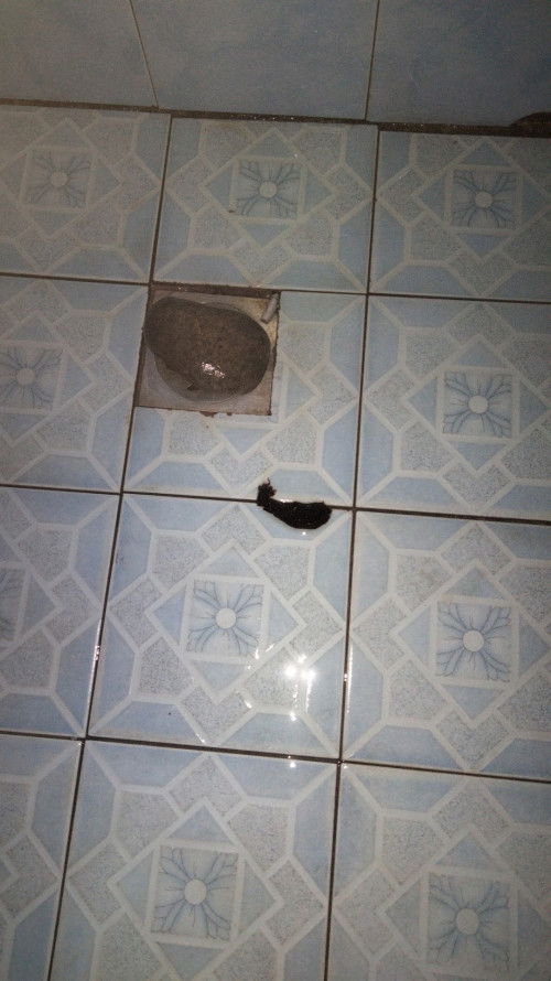 lagi tidur tiba" CD basah,kirain apa ternyata air + darah,eh pas jongkok keluar gini