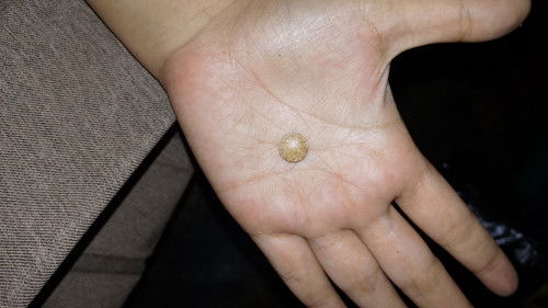 MMS warna gini masih aman gak ya bund?