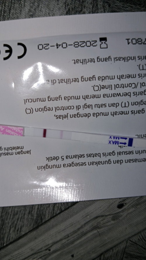 Apakah ini sudah positif hamil